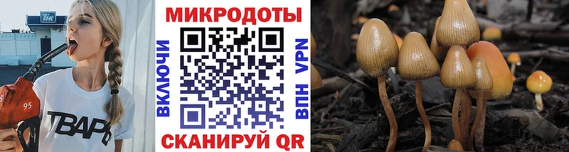 наркошоп  Красково  Галлюциногенные грибы Psilocybine cubensis 